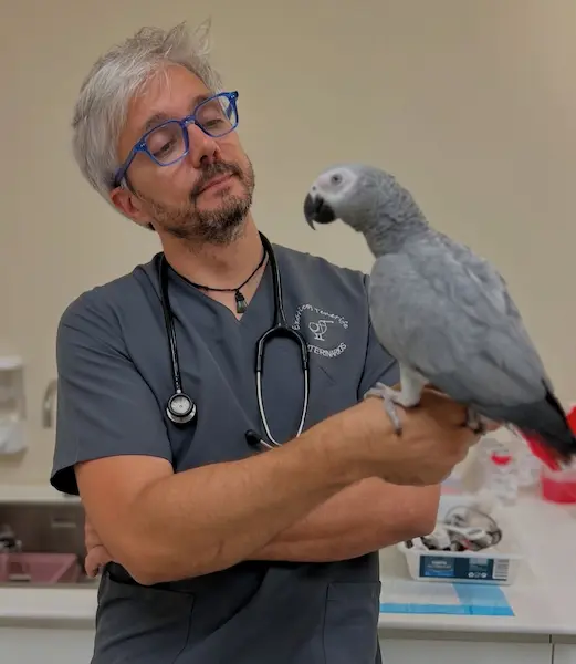 enrique veterinario